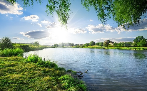 1676444301108887.png image.png