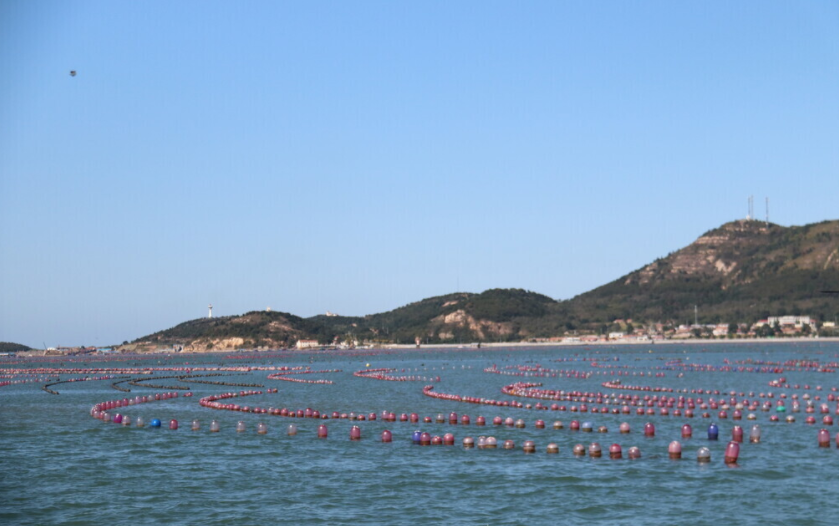 養(yǎng)魚專業(yè)水質(zhì)檢測儀什么品牌好？